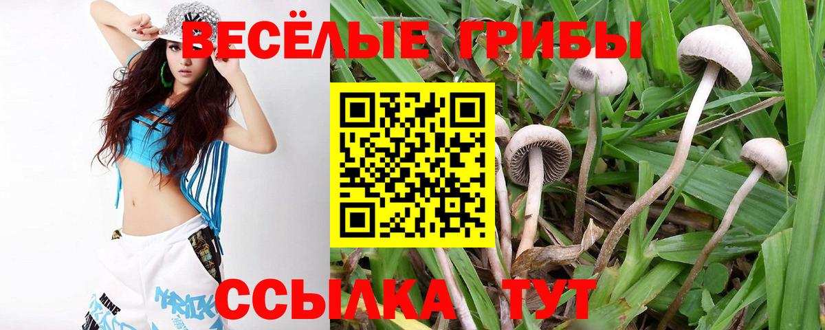 Псилоцибиновые грибы мицелий  Вход с VPN  Галлюциногенные грибы прущие грибы  Выборг 